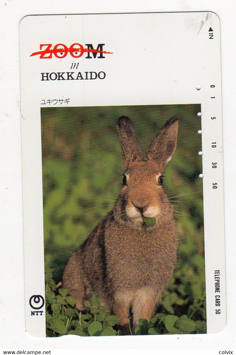 JAPON  TELECARTE LAPIN N° 430-185 Date 1989 - Conejos