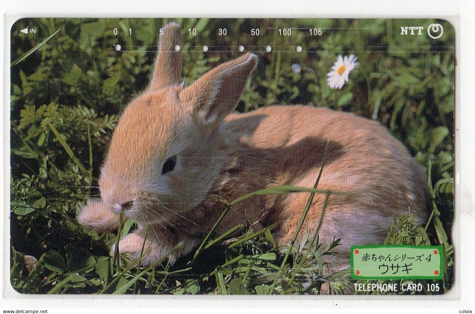 JAPON  TELECARTE LAPIN N° 231-143 Date 1994 - Conejos