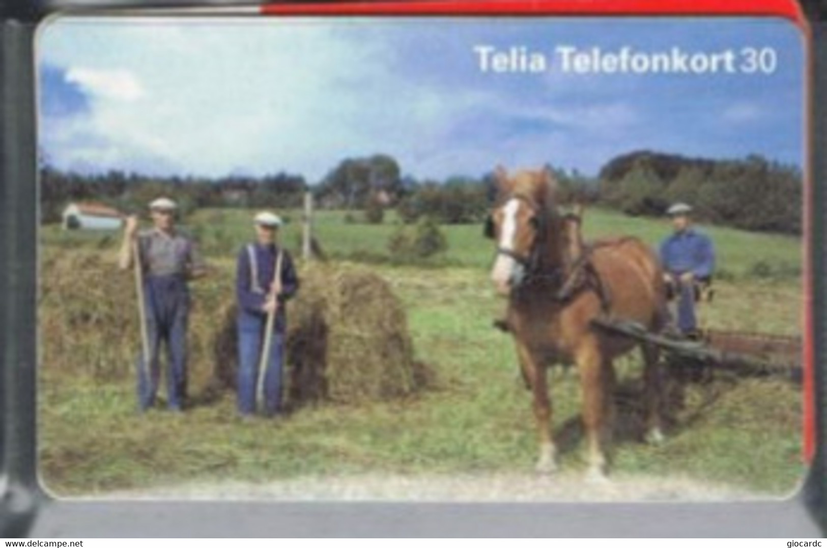 SVEZIA (SWEDEN) - CHIP TELIA  - 1996 FARMERS, HORSE    -   RIF. 9532 - Paarden