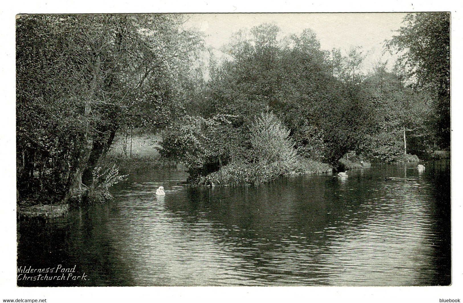 Ref 1449 - 2 X Early Postcards - Christchurch Park - Ipswich Suffolk - Ipswich