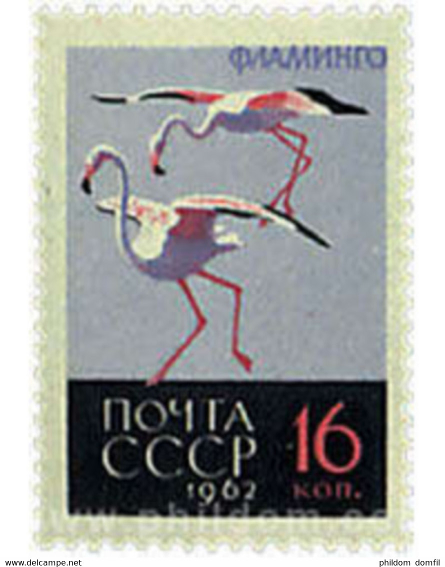 Ref. 639396 * MNH * - SOVIET UNION. 1962. BIRDS . AVES - Nuovi