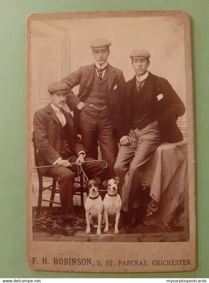 52150: PHOTO On Hard Backing By F.H.Robinson, Chichester. Three Men & Two Dogs. Early 20c. - Anonymous Persons