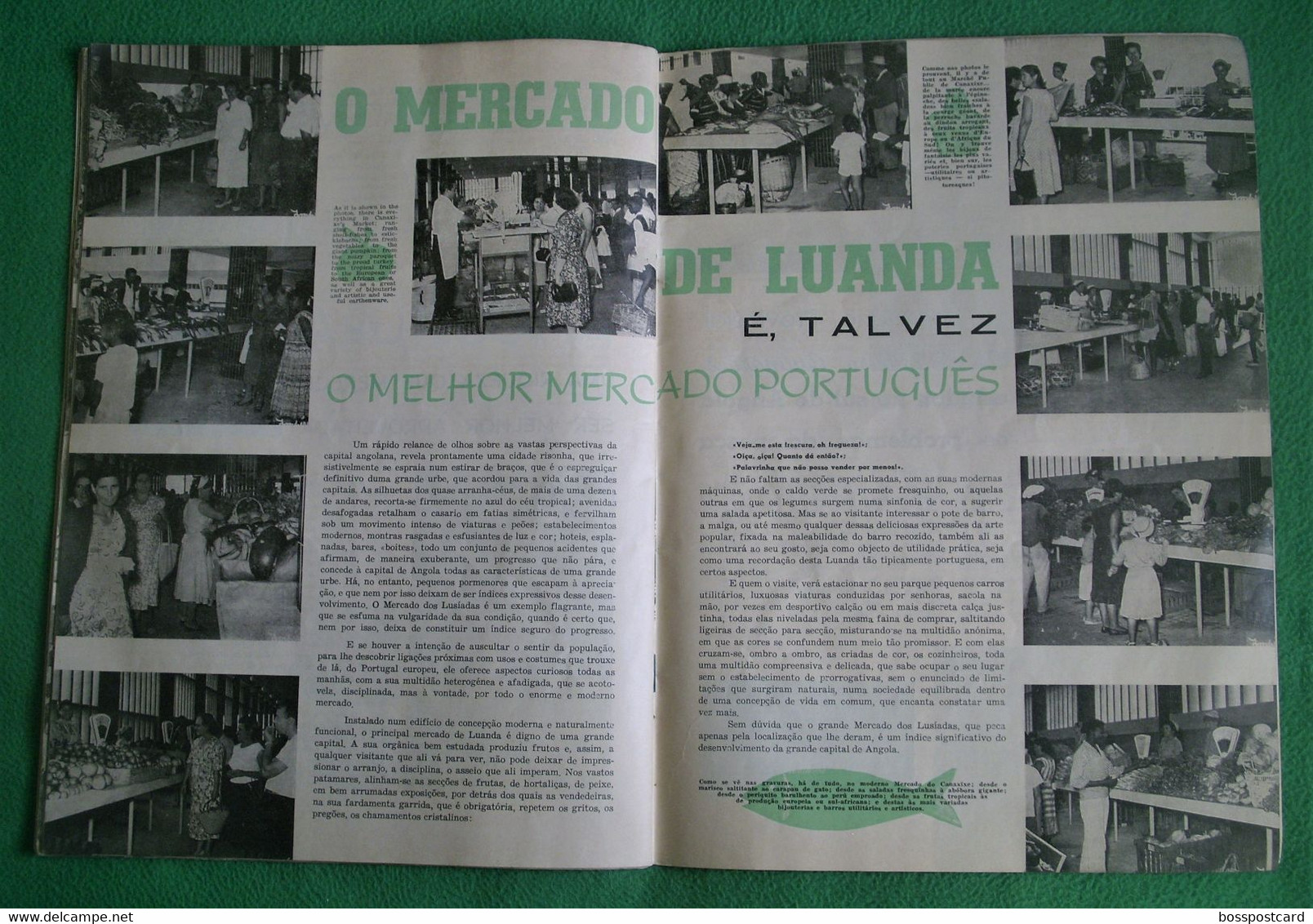 Angola - Revista de Angola Nº 25 de 1961