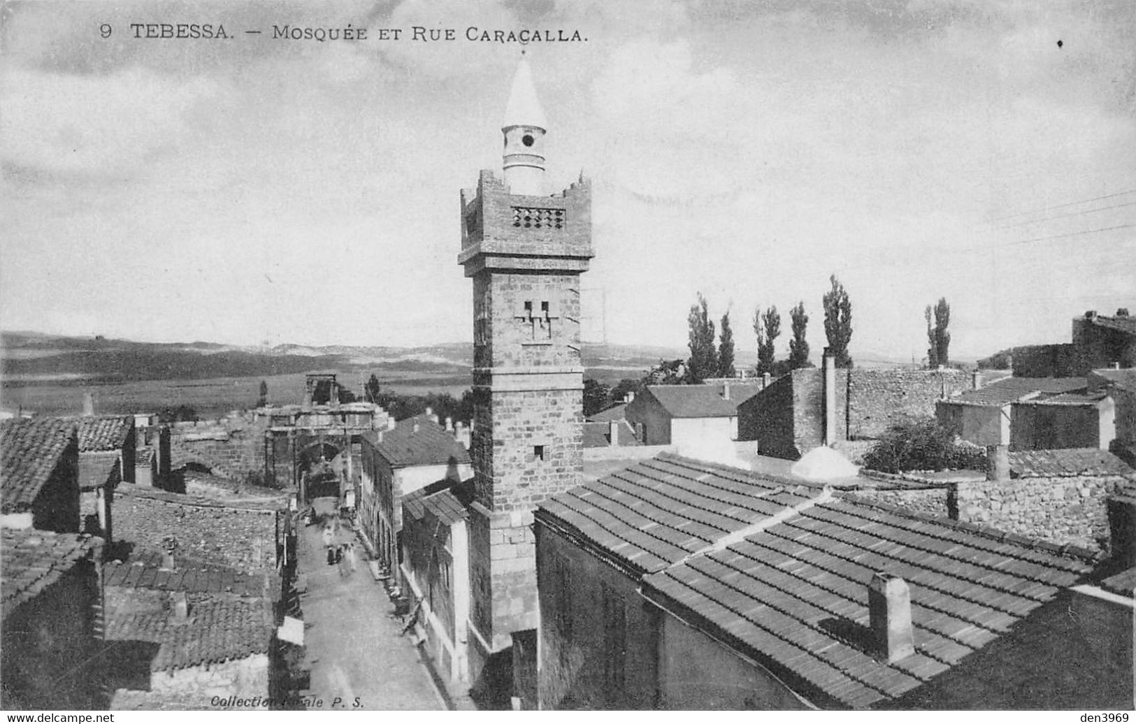 Algérie - TEBESSA - Mosquée Et Rue Caracalla - Tebessa