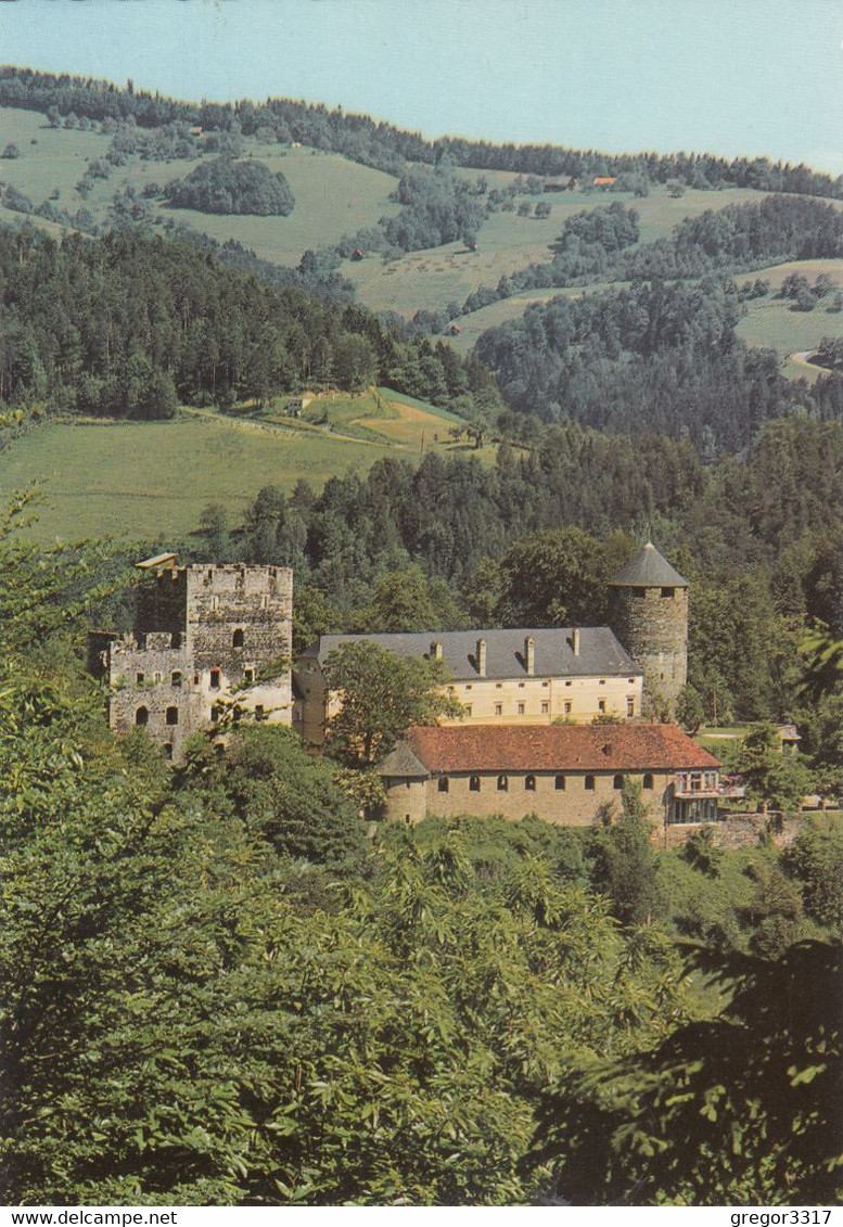 951) 8530 Burg DEUTSCHLANDSBERG - Steiermark - Schöne ältere AK - Deutschlandsberg