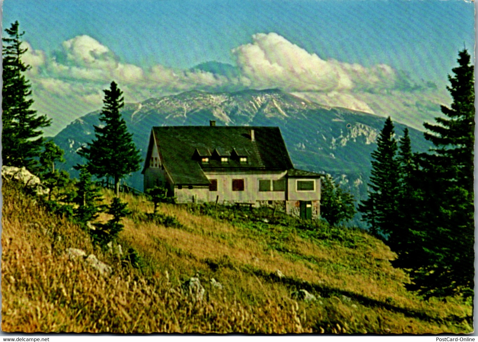 4447 - Obersberg , Waldfreundehaus Mit Blick Zum Schneeberg - Nicht Gelaufen - Henndorf Am Wallersee