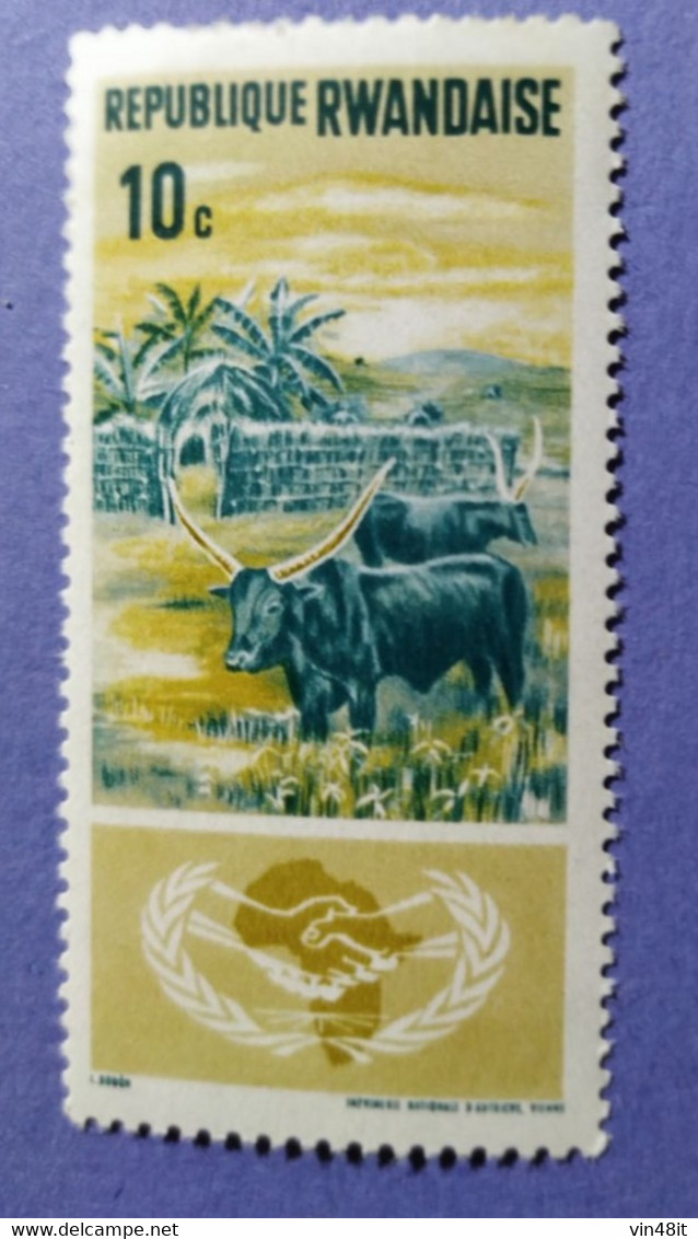 1965 -  REPUBBLICA RWANDAISE   - VALORE 10 C   -  USATO - Used Stamps