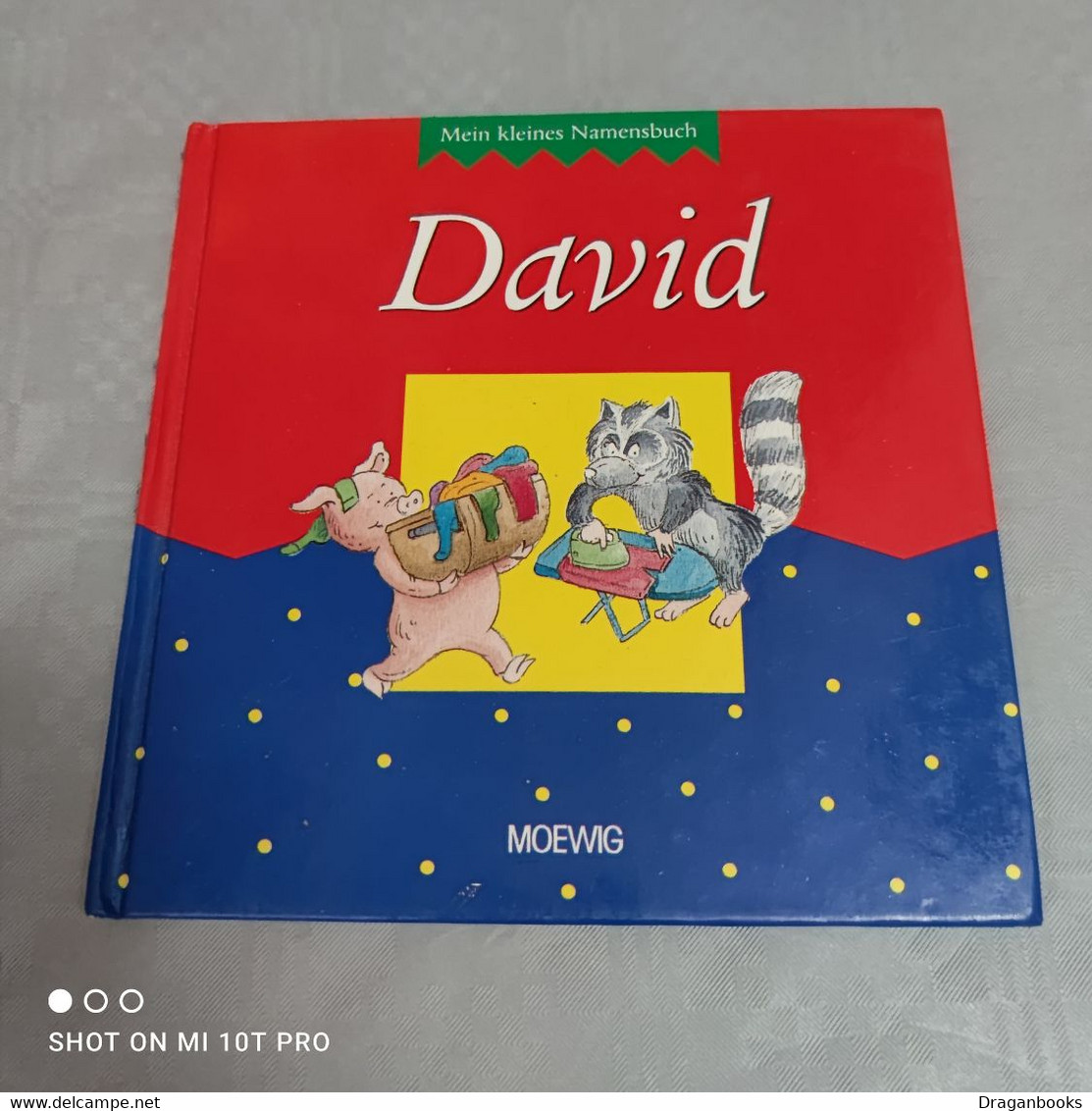 David - Picture Book