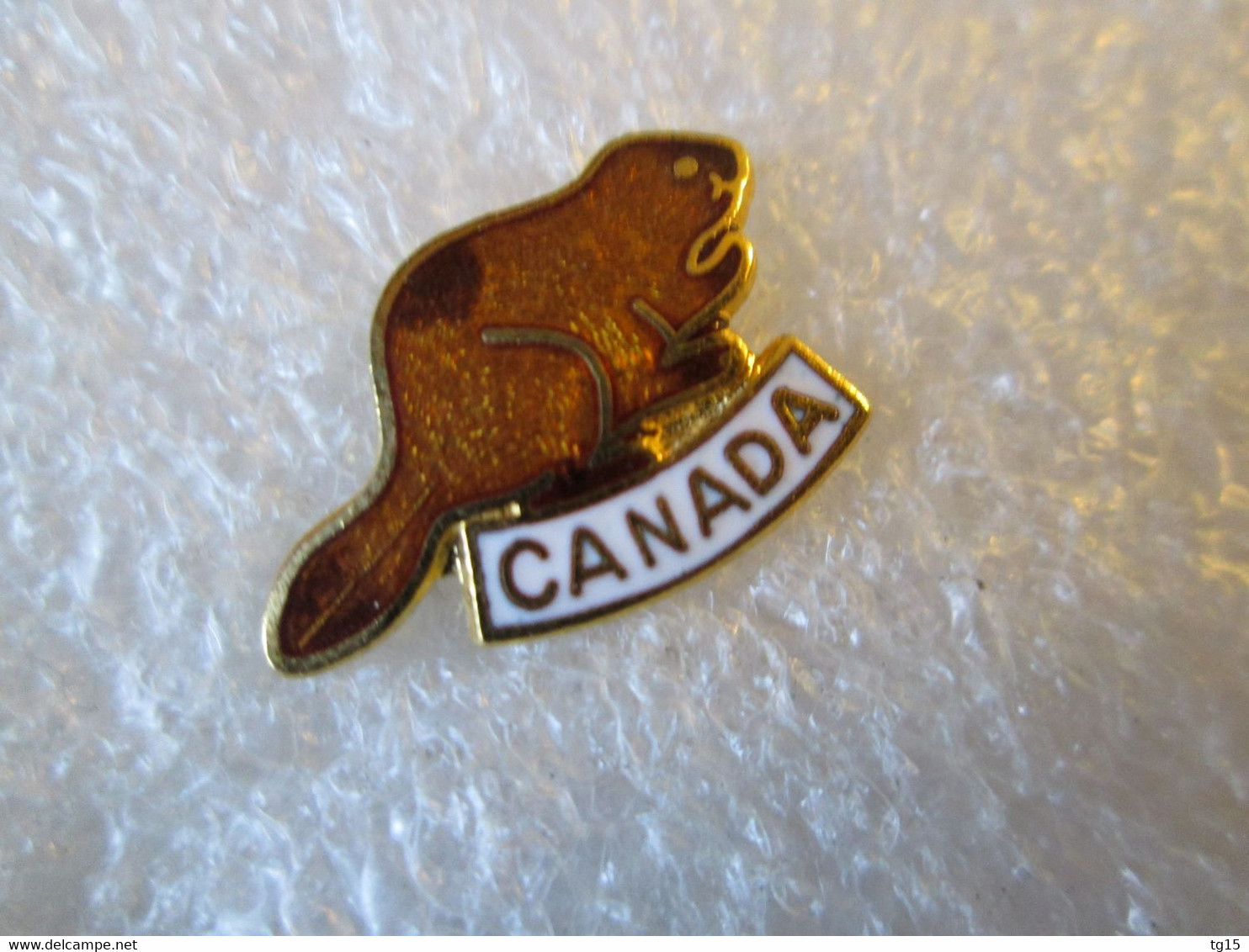 PIN'S    ANIMAUX    CASTOR   CANADA   Email Grand Feu - Animali