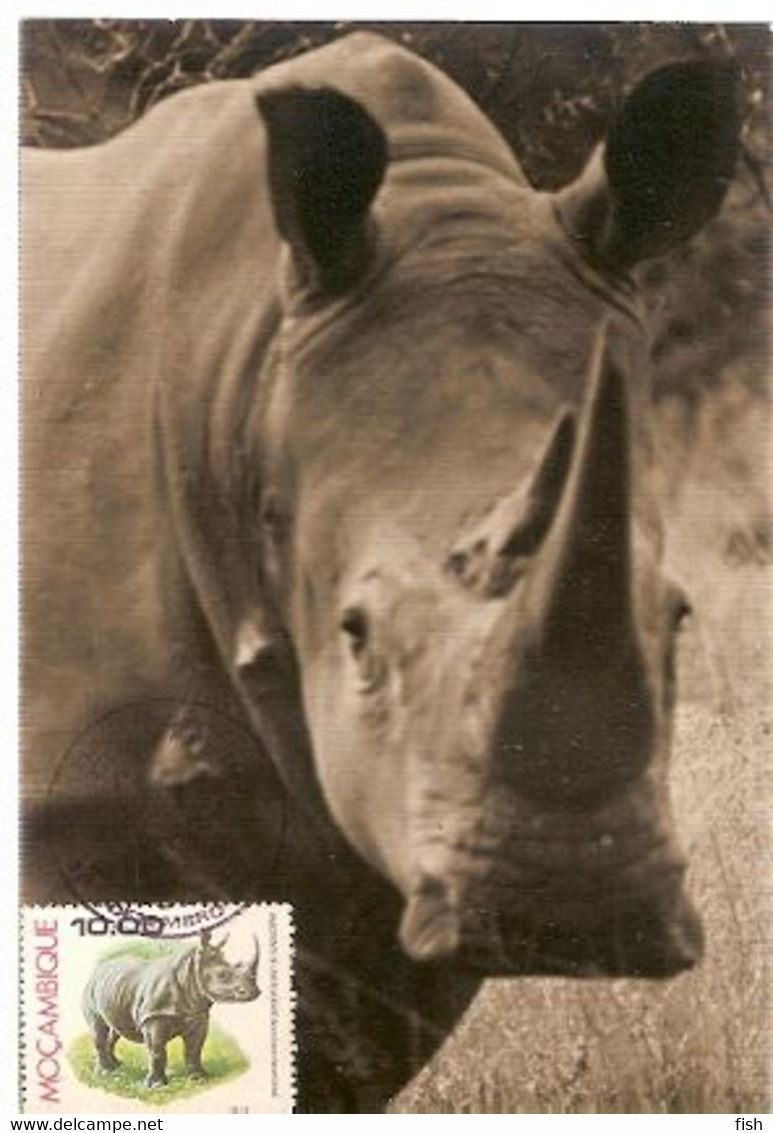 Mozambique & Maximum Card,  Fauna, Rinoceronte-Negro,  Diceros Bicornis, Maputo  1976 (396) - Rhinoceros