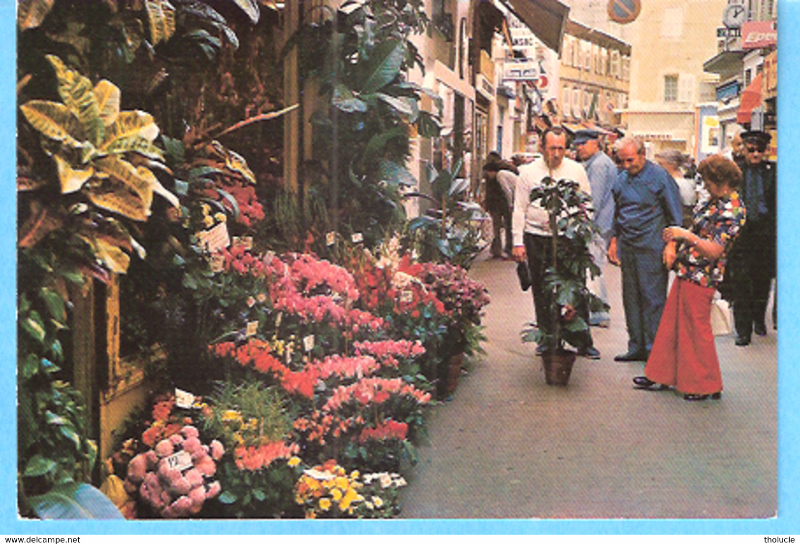 Cannes-Rue Meynadier-Fleuriste-Fleurs-Plantes-Cachet "Festival International Du Film Mai 1981"-Cinéma - Cannes