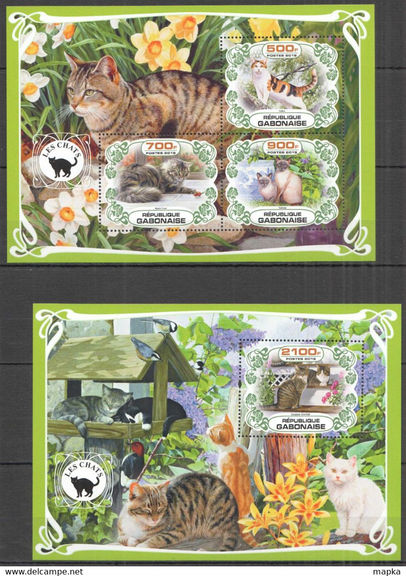 PA005 2019 CATS DOMESTIC ANIMALS PETS FAUNA BL+KB MNH - Gatos Domésticos