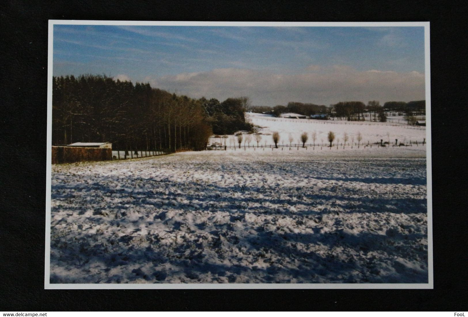 GOOIK Pajottenland Winters Landschap In De Kroonstraat - Foto Els Van Der Hoeven - Gooik