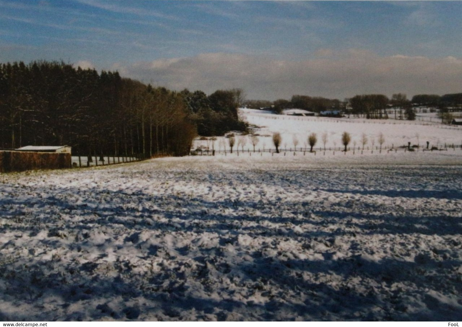 GOOIK Pajottenland Winters Landschap In De Kroonstraat - Foto Els Van Der Hoeven - Gooik