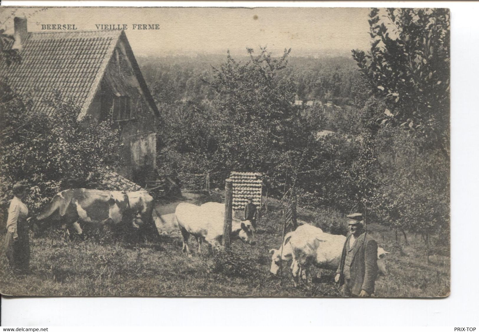 REF3127/ CP-PC Beersel Vieille Ferme Animée Vaches En Pâture C.Loth > Antwerpen - Beersel