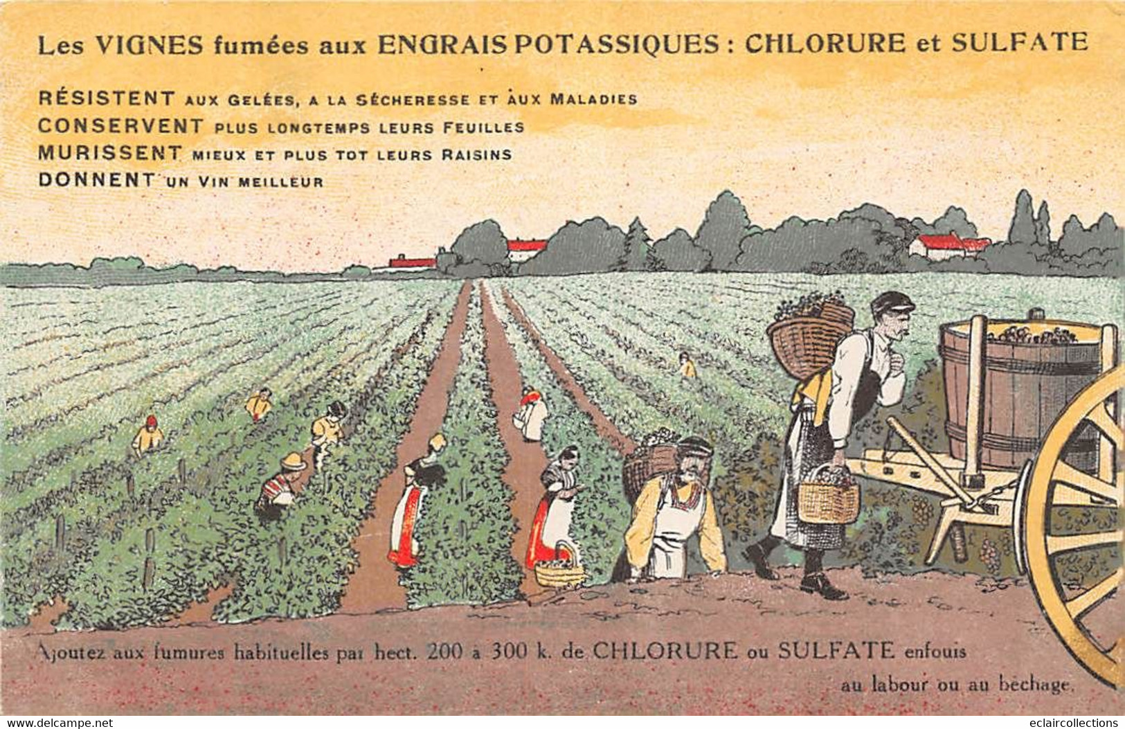 Publicité.Agriculture:     Vendanges    Vignes Fumées Au Chlorure Et Sulfate        (Voir Scan) - Publicité