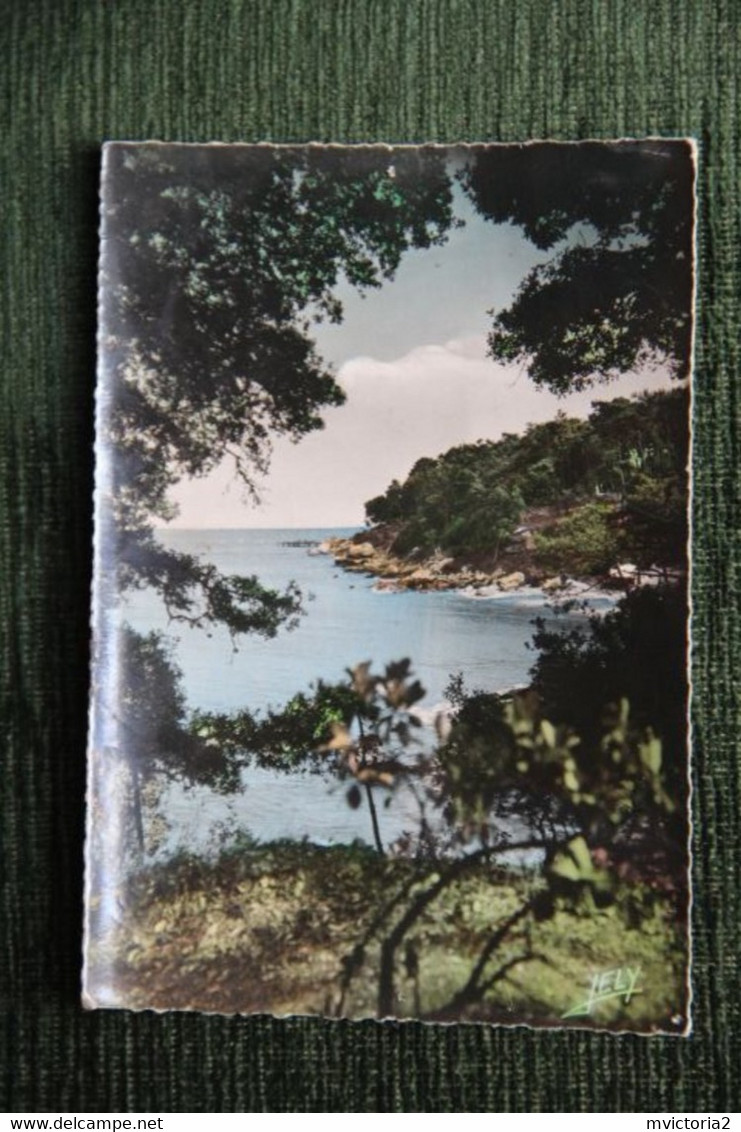 ILE DE NOIRMOUTIER - Paysage Au Bois De La Chaize.. - Noirmoutier