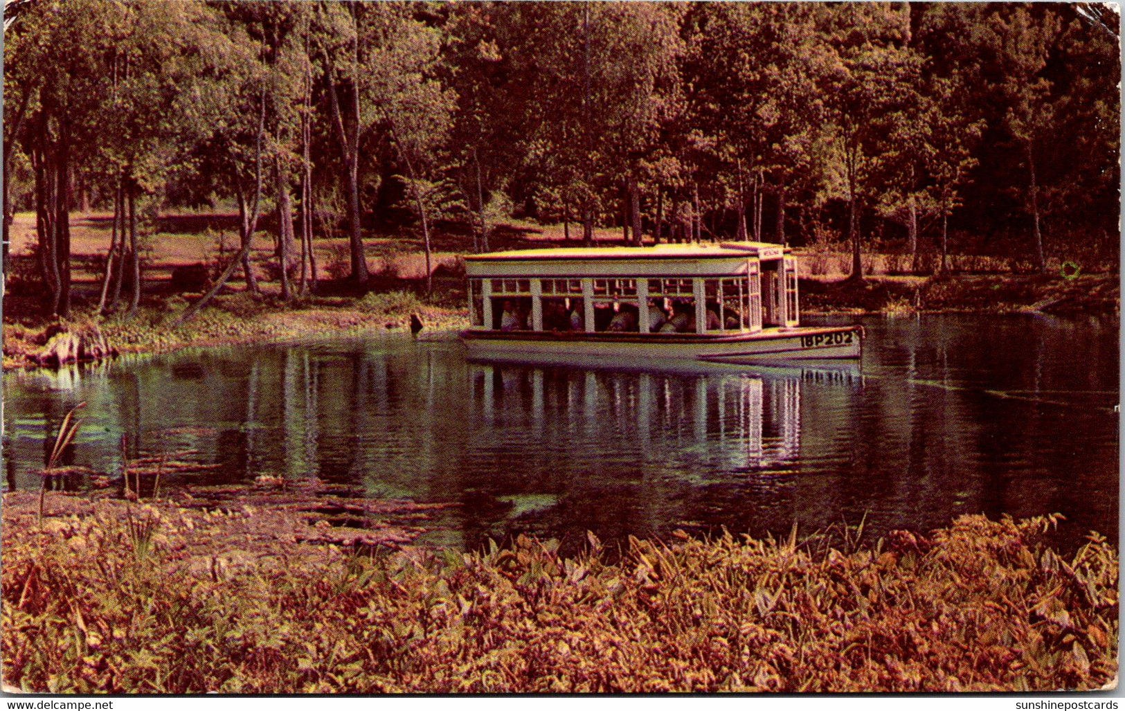 FLorida Silver Springs Glass Bottom Boat 1952 - Silver Springs