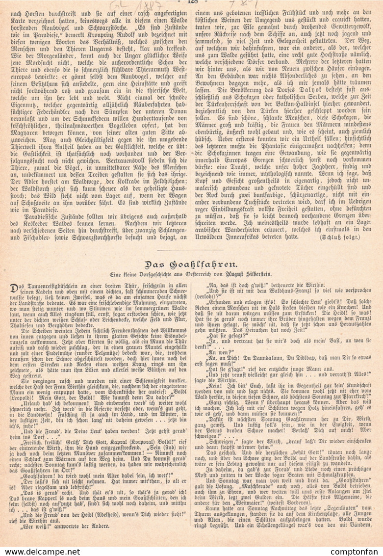 789 - Karl Marr Silberstein Goaßlfahren Fasching Pferdeschlitten Artikel 1887 !! - Fasching & Karneval