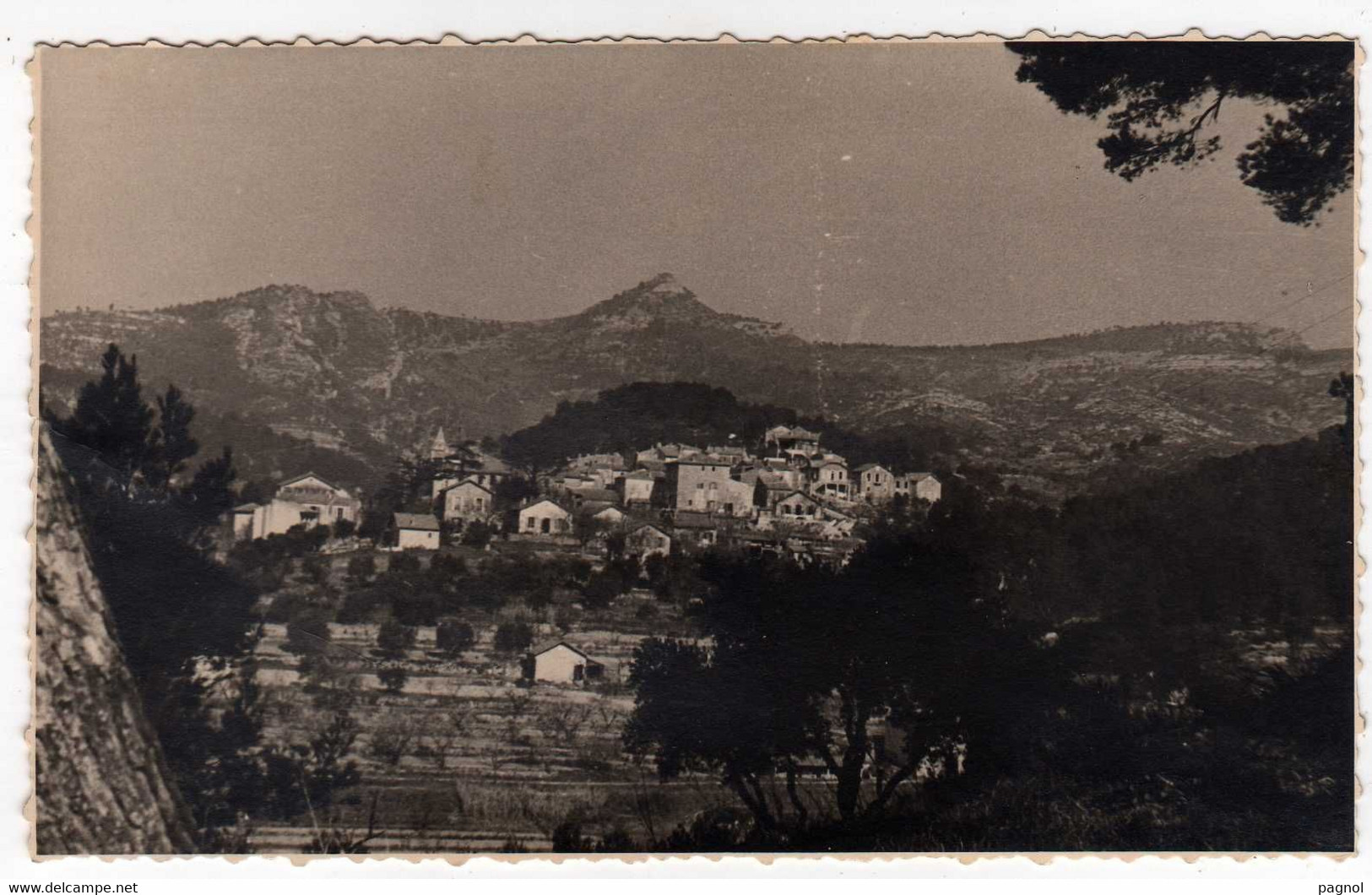 13 :  La Treille : Vue Générale ( Cpsm P.F. 13 X 8 ) - Autres & Non Classés