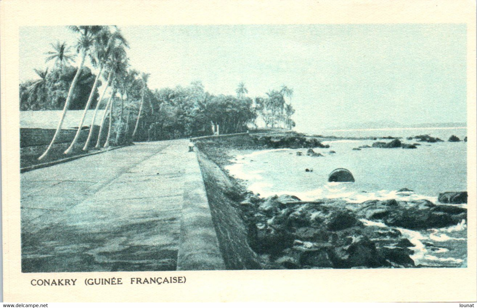 Afrique - Guinée Française - Conakry - Guinea Francesa