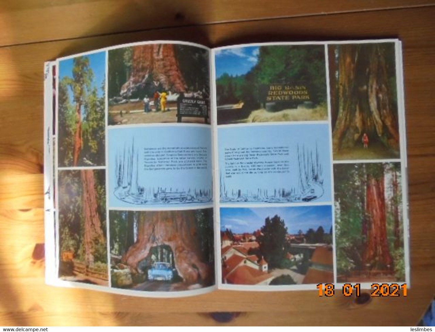 California Redwoods And The San Francisco Bay Area - Mike Roberts Photography - Staplebound 1965 - Geographie