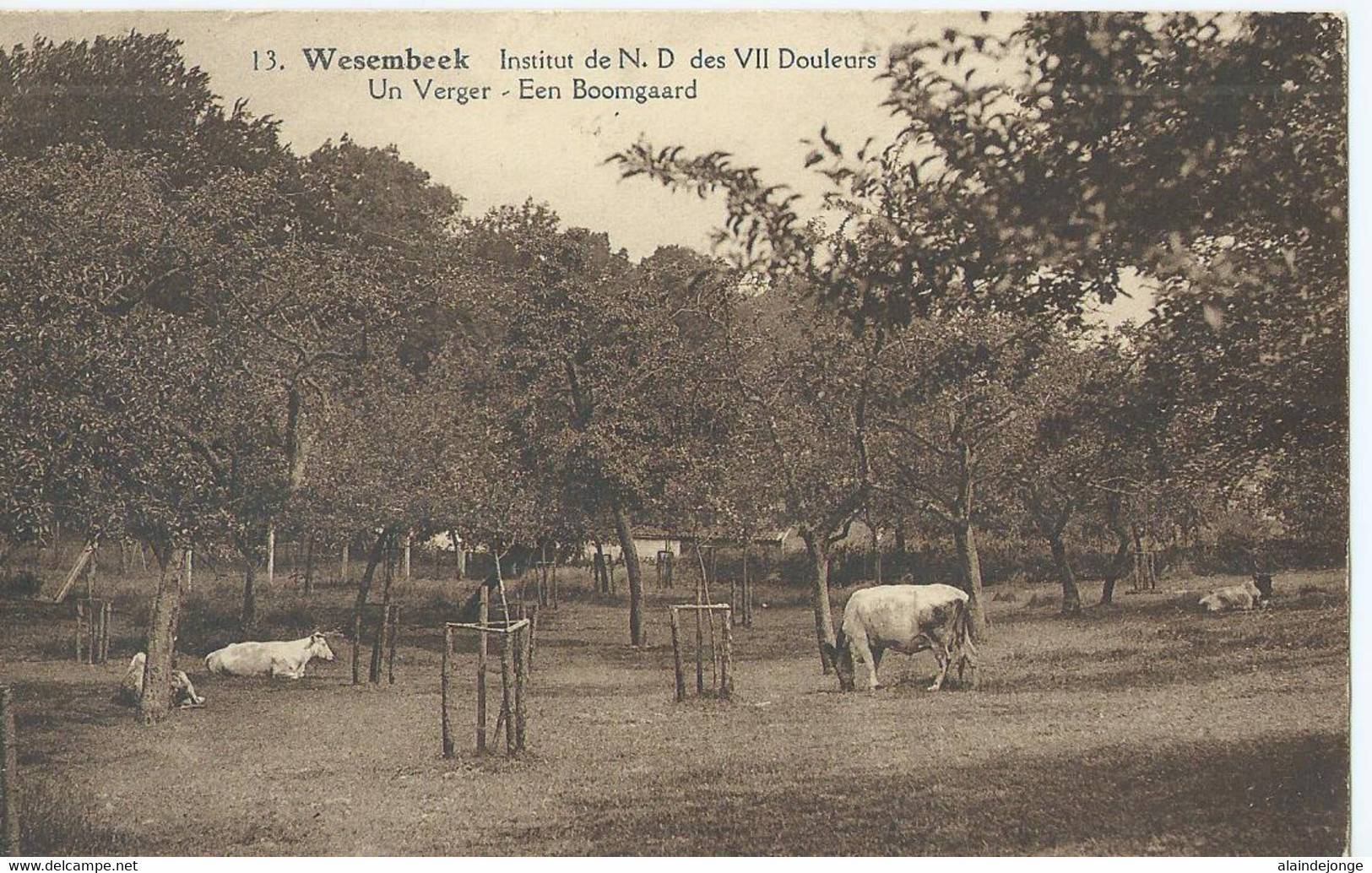 Wezembeek-Oppem - Wesembeek - Institut De N.D. Des VII Douleurs - Un Verger - Een Boomgaard - Wezembeek-Oppem