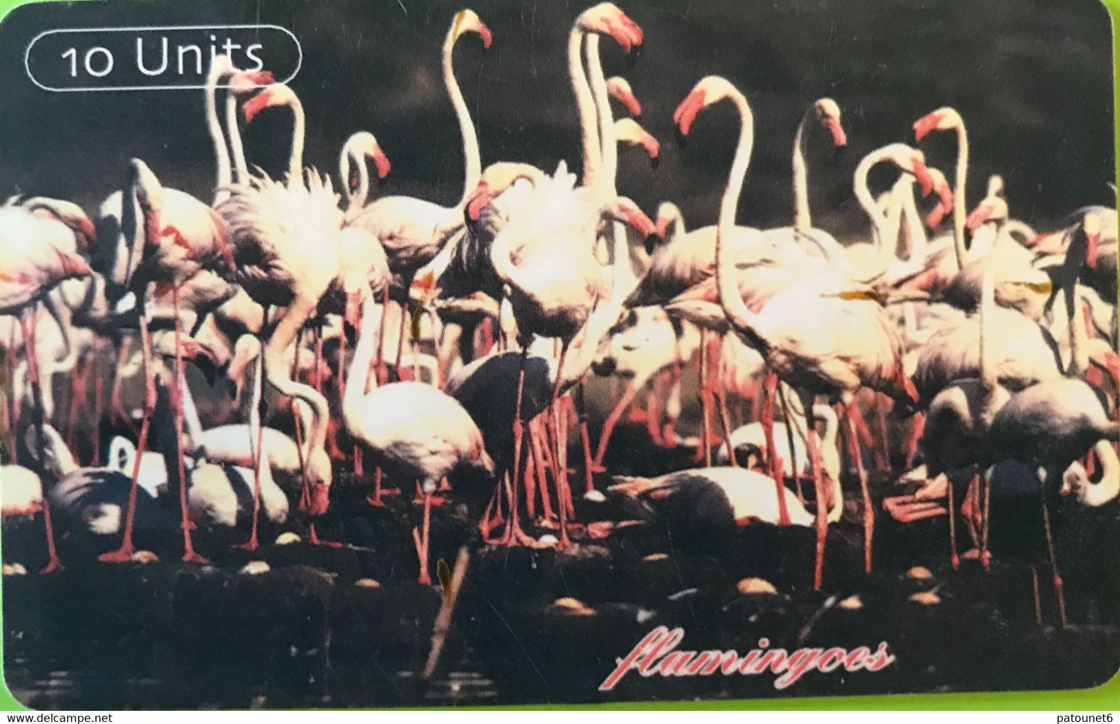 TANZANIE  -   Phonecard   - Flamingos  -  10 Unités - Tanzania