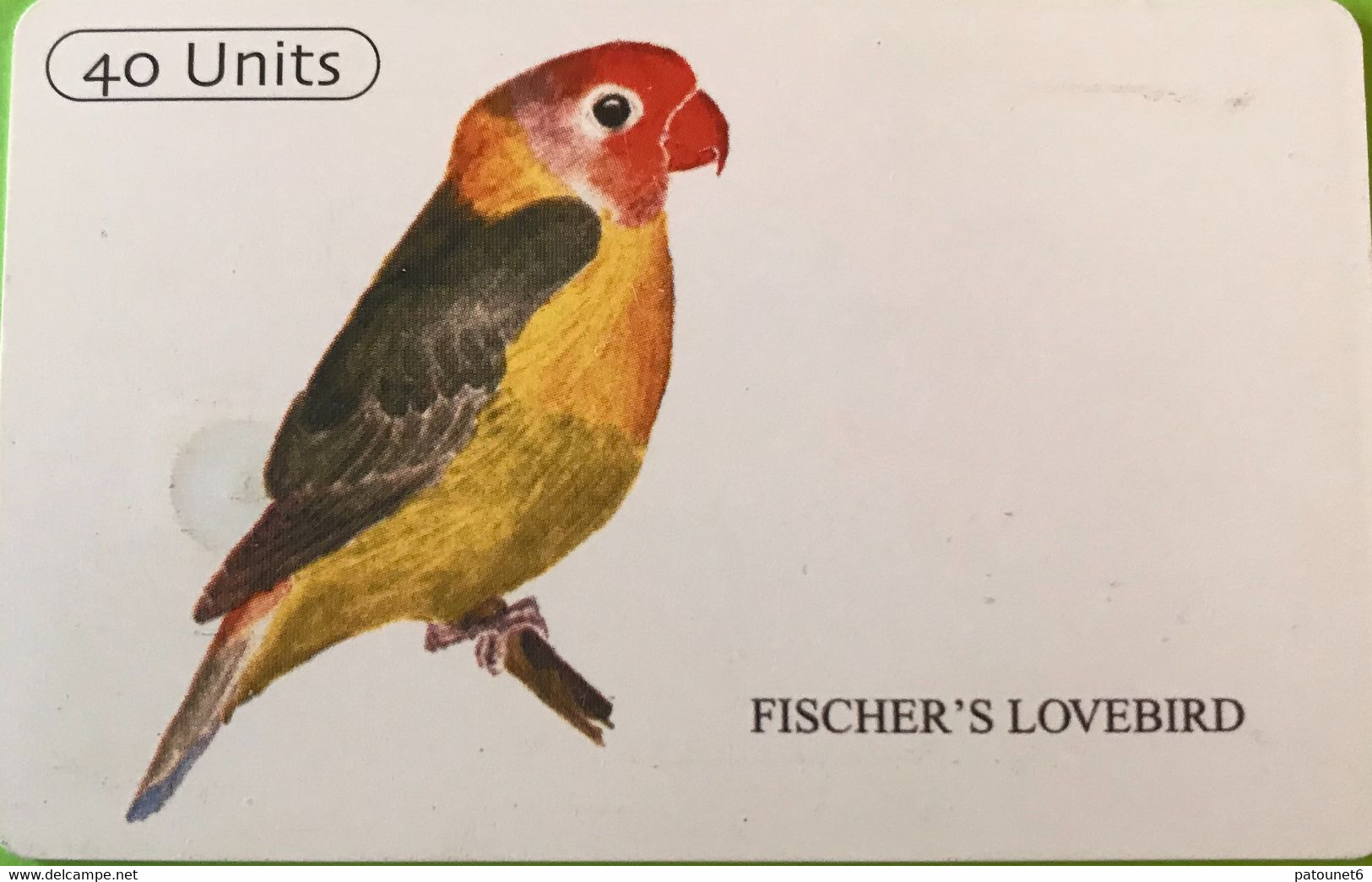 TANZANIE  -   Phonecard   -  Fischer's Lovebird  -  40 Unités - Tanzanie