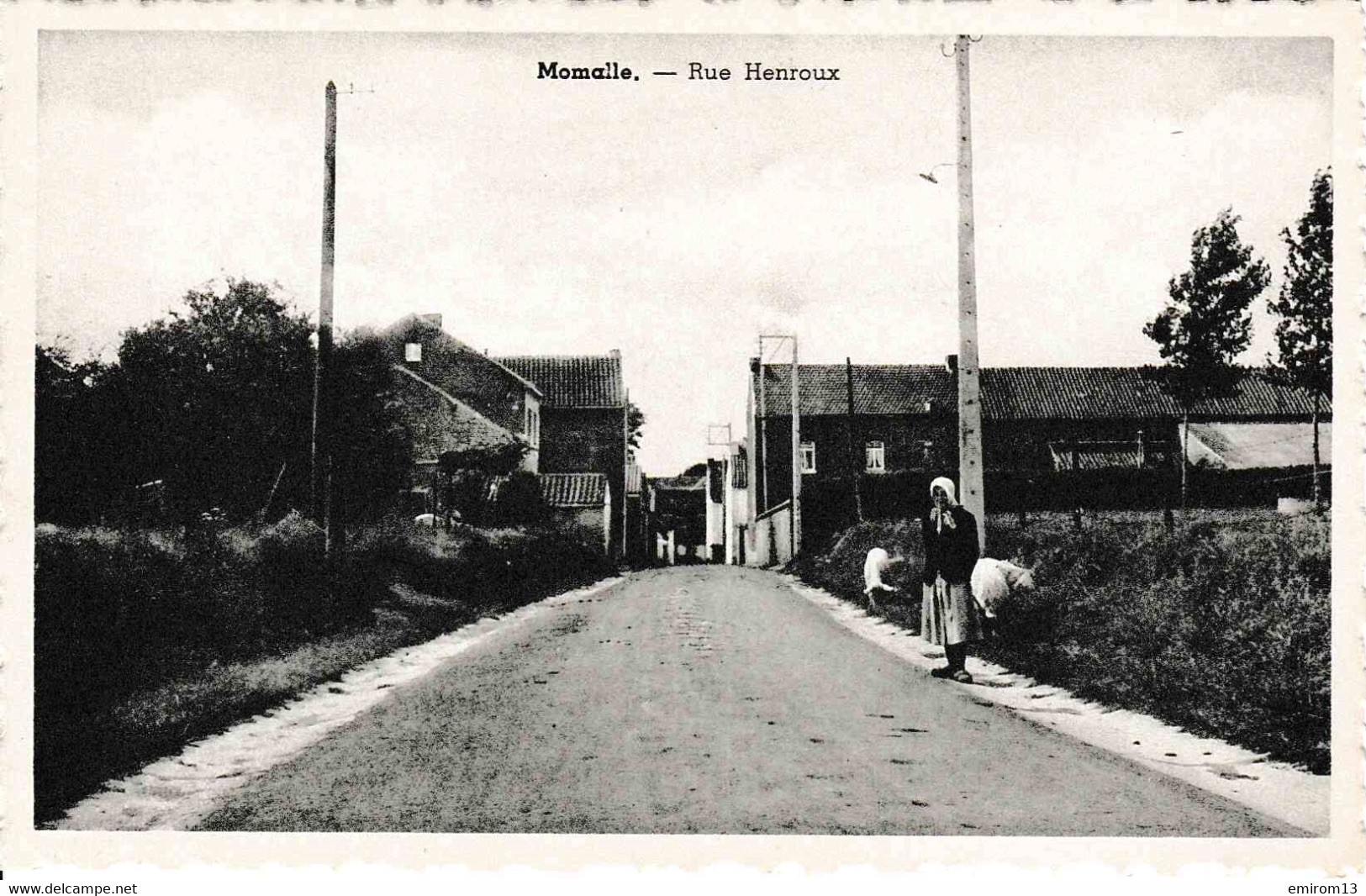 Momalle Rue Henroux Moutons Et Bergère - Remicourt