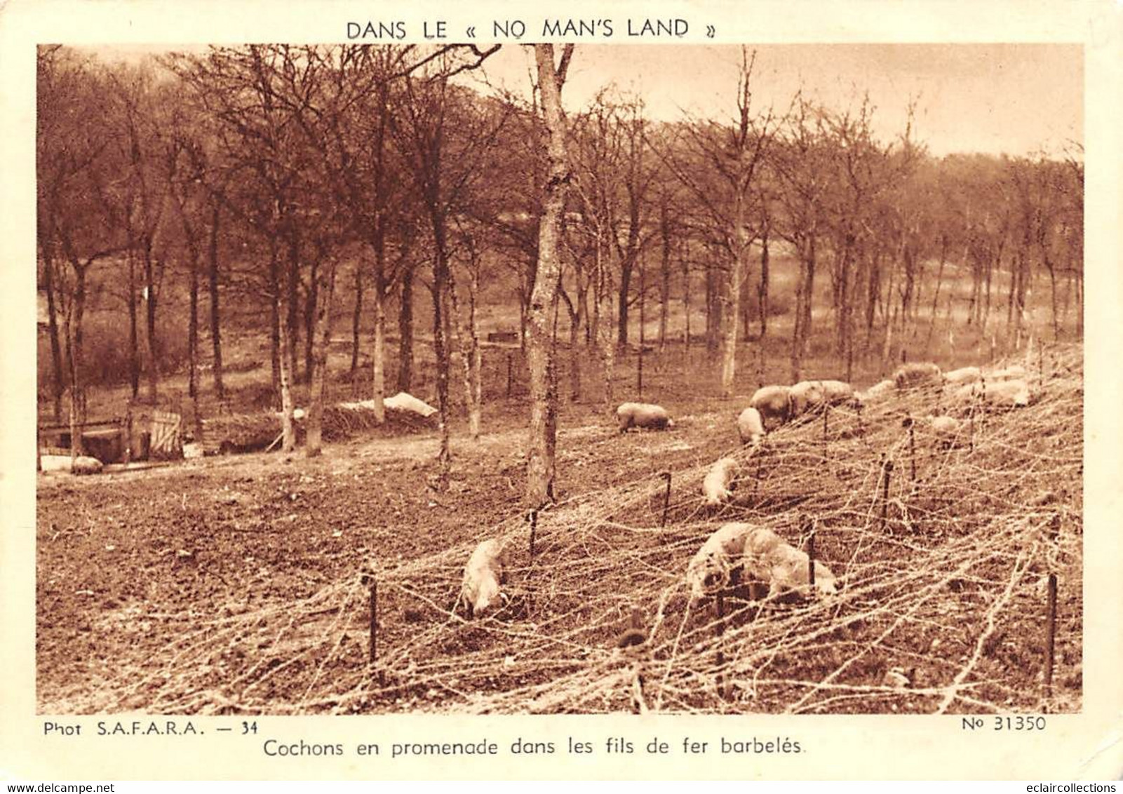 Militaria:   Guerre 39/45. Scènes diverses    5  cartes   (Voir scan)