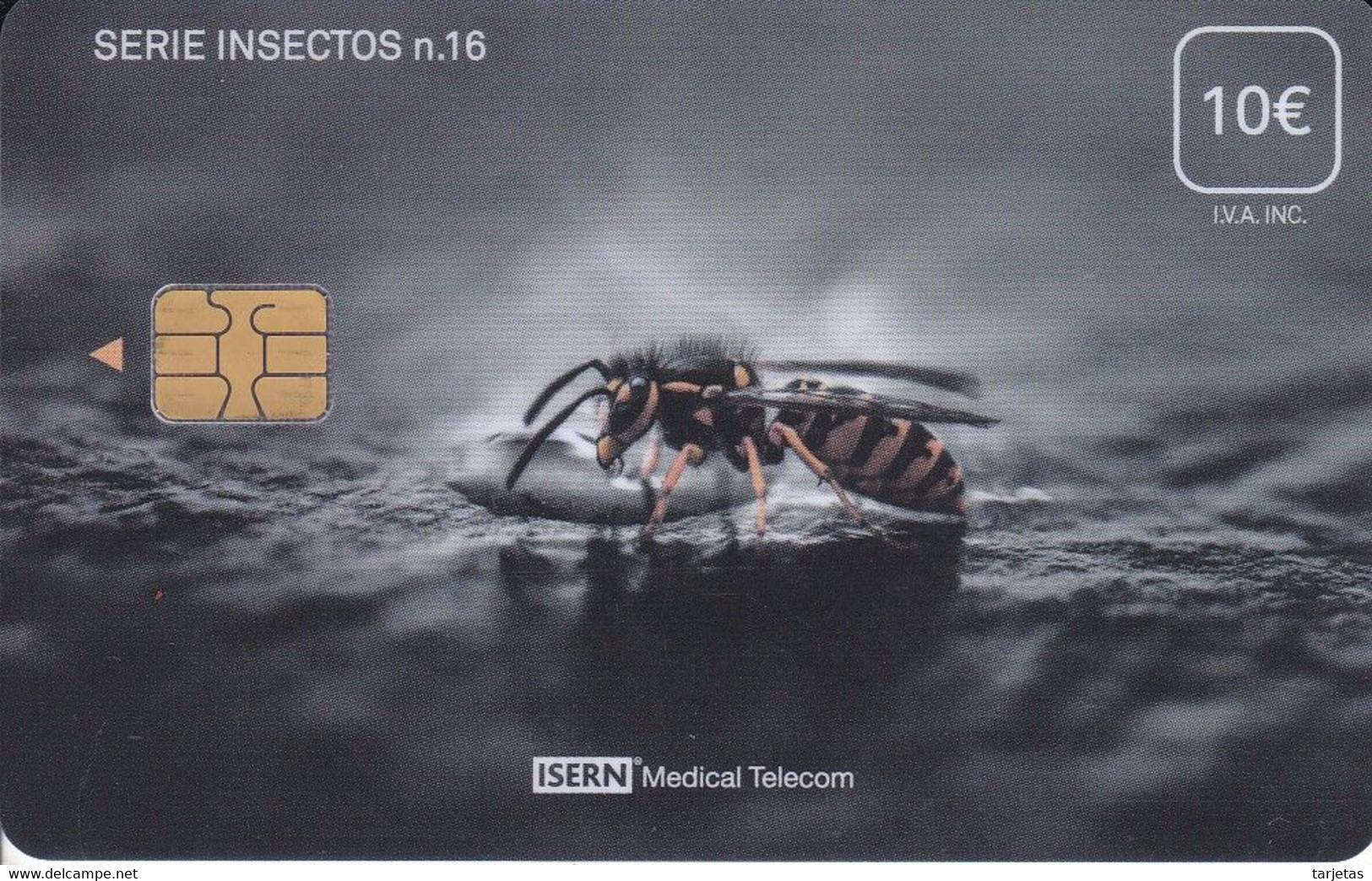 ISN-311 TARJETA DE ESPAÑA DE ISERN DE LA SERIE INSECTOS Nº16  - AVISPA-INSECT - Otros & Sin Clasificación