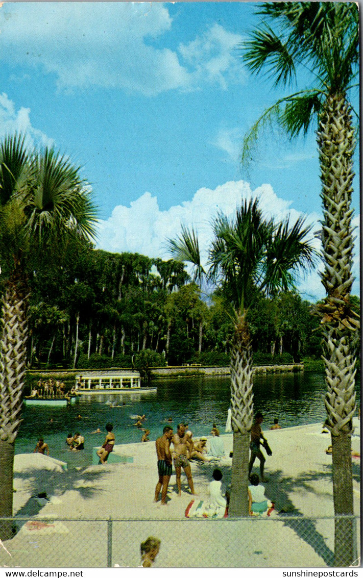 Florida Silver Springs Bathing Beach 1963 - Silver Springs