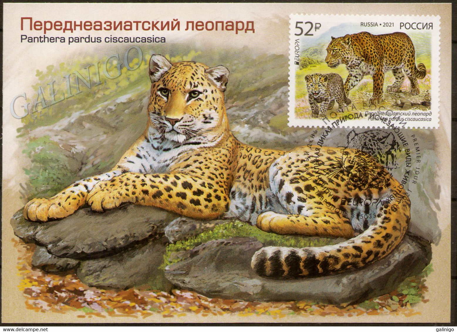 2021-2722 Maximum Card Canc Stavropol Russia EUROPA CEPT National Endangered Wildlife.Fauna:Big Cats:The Persian Leopard - Cartoline Maximum
