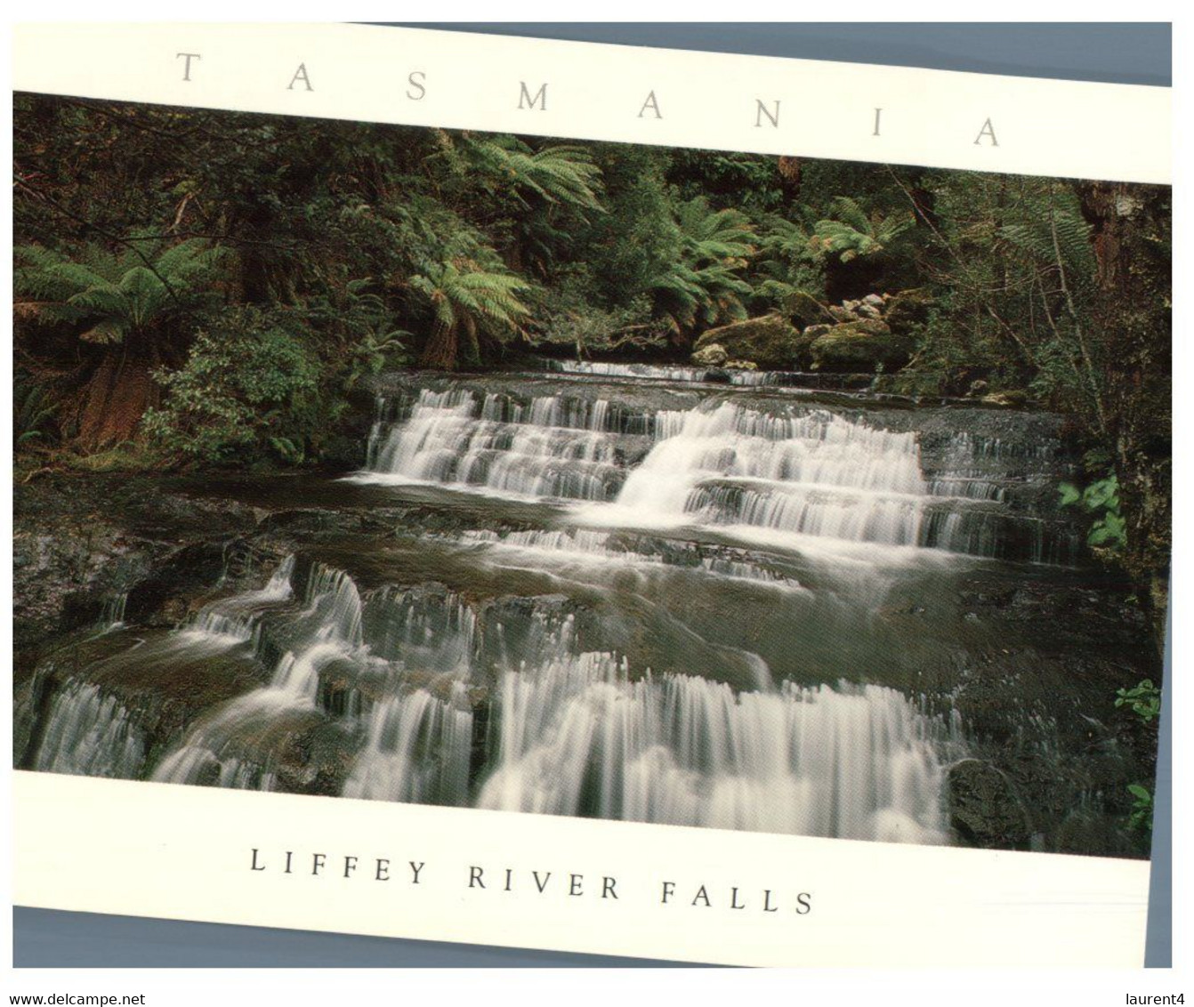 (FF 18) Australia - TAS - Liffey River Falls - Wilderness