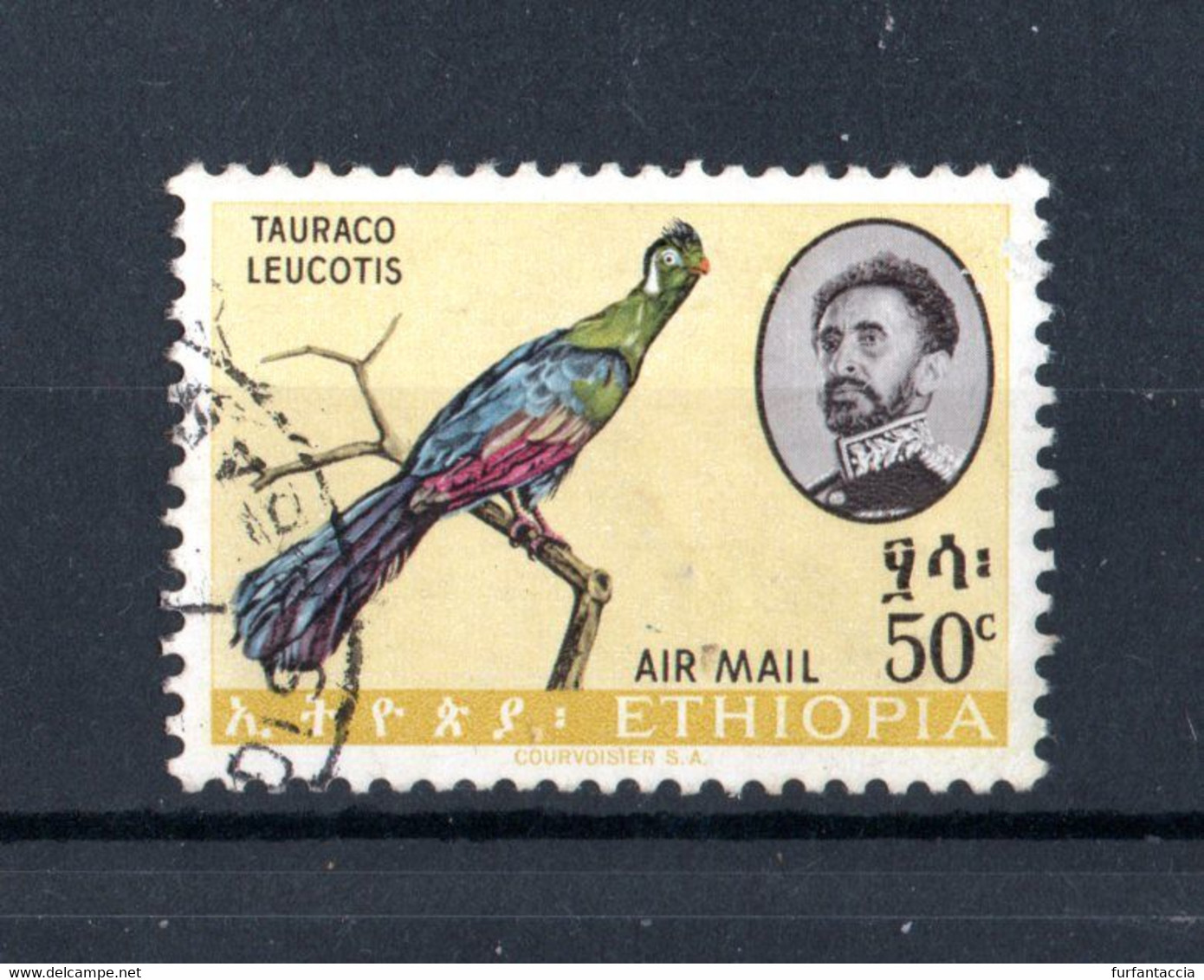 ETHIOPIA  :  "Tarauco Leucotis O Dalle Gote Bianche"  -  50 C..  Yvert  P.Aerea 77 Usato  Del.  12.09.1963 - Cuco, Cuclillos