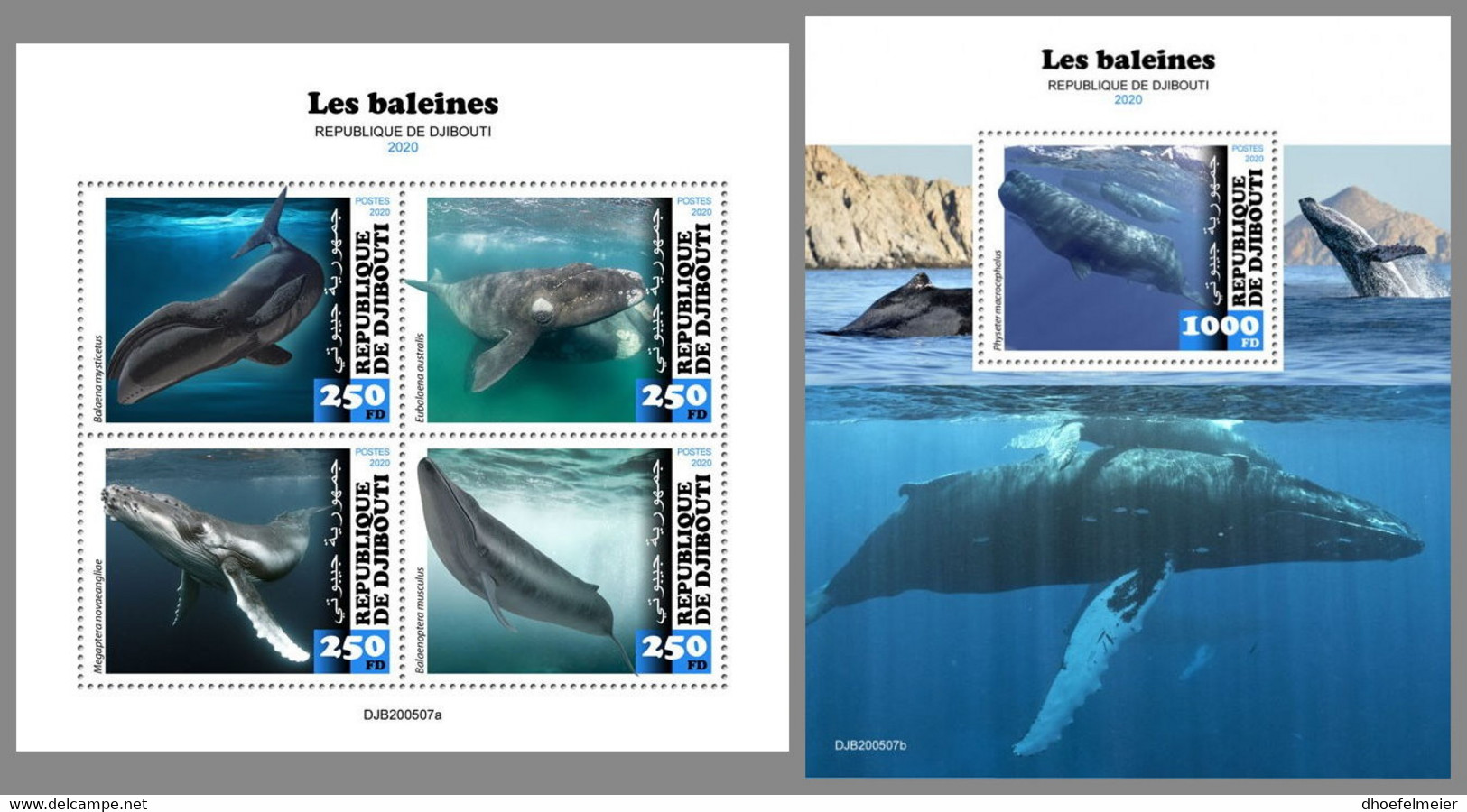 DJIBOUTI 2020 MNH Whales Wale Baleines M/S+S/S - OFFICIAL ISSUE - DHQ2104 - Wale