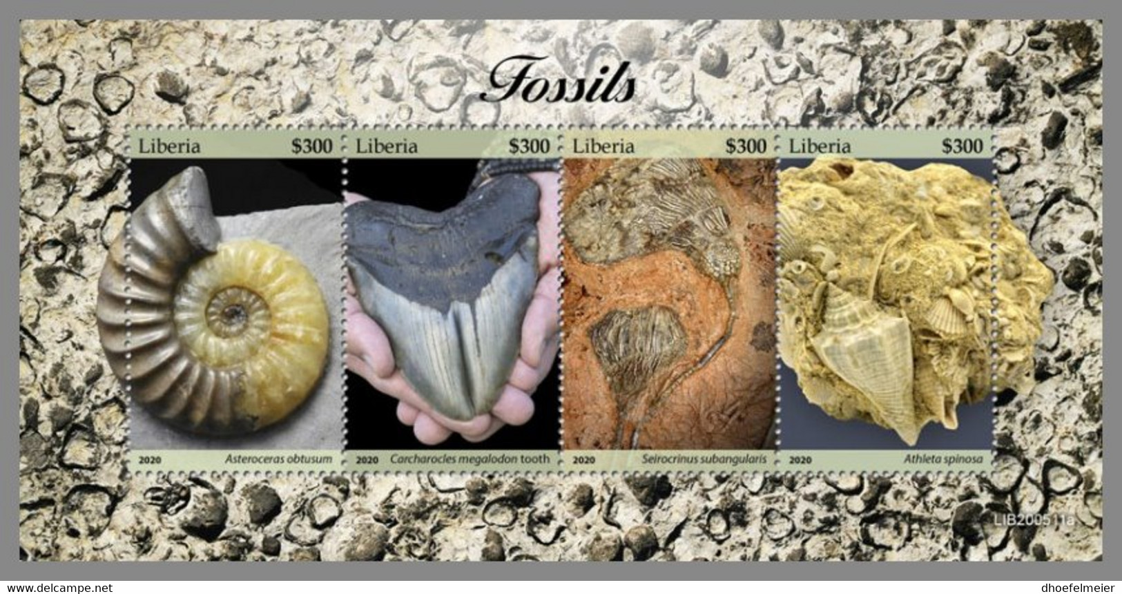 LIBERIA 2020 MNH Fossils Fossilien Fossiles M/S - IMPERFORATED - DHQ2104 - Fossils