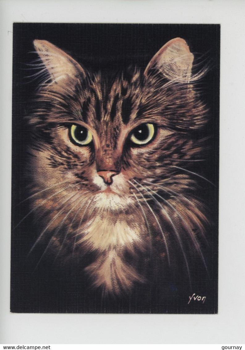 Chat : Chiens Et Chats Nos Amis Par Schrub Illustrateur Peintre (n°24/006/09 Cp Vierge) - Katten