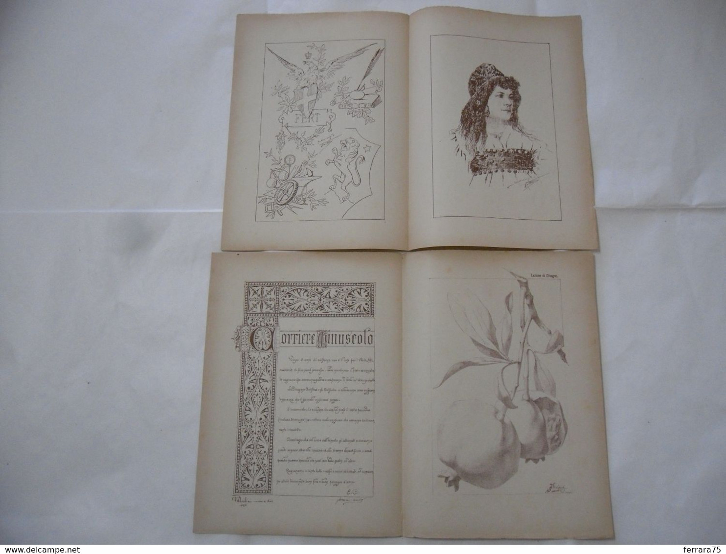 ARTE MINUSCOLA LEZIONE DI DISEGNO ARTE MODA ARALDICA LIBERTY SCRITTURA 1897-28 - Libri Antichi