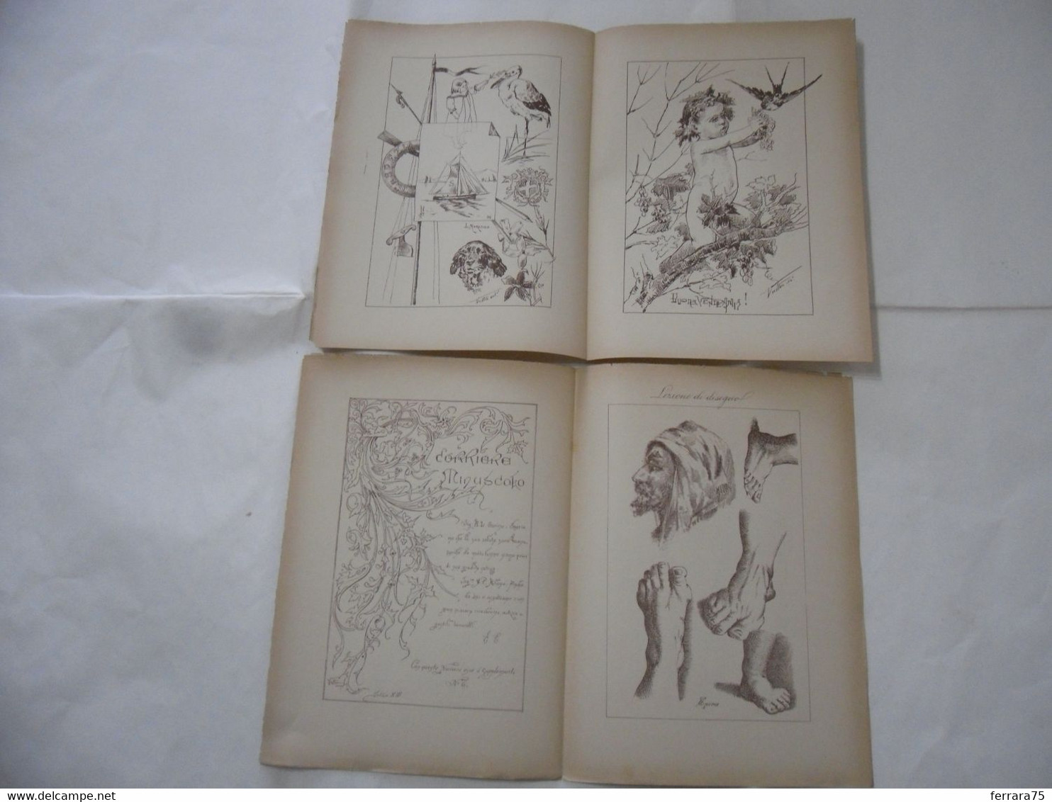 ARTE MINUSCOLA LEZIONE DI DISEGNO ARTE MODA ARALDICA LIBERTY SCRITTURA 1897-46 - Libri Antichi