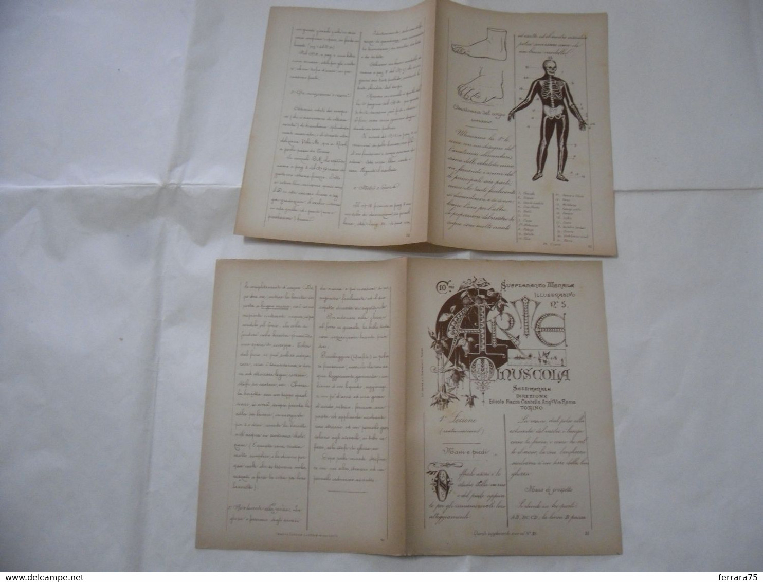 ARTE MINUSCOLA LEZIONE DI DISEGNO ARTE MODA ARALDICA LIBERTY SCRITTURA 1897-55 - Libri Antichi
