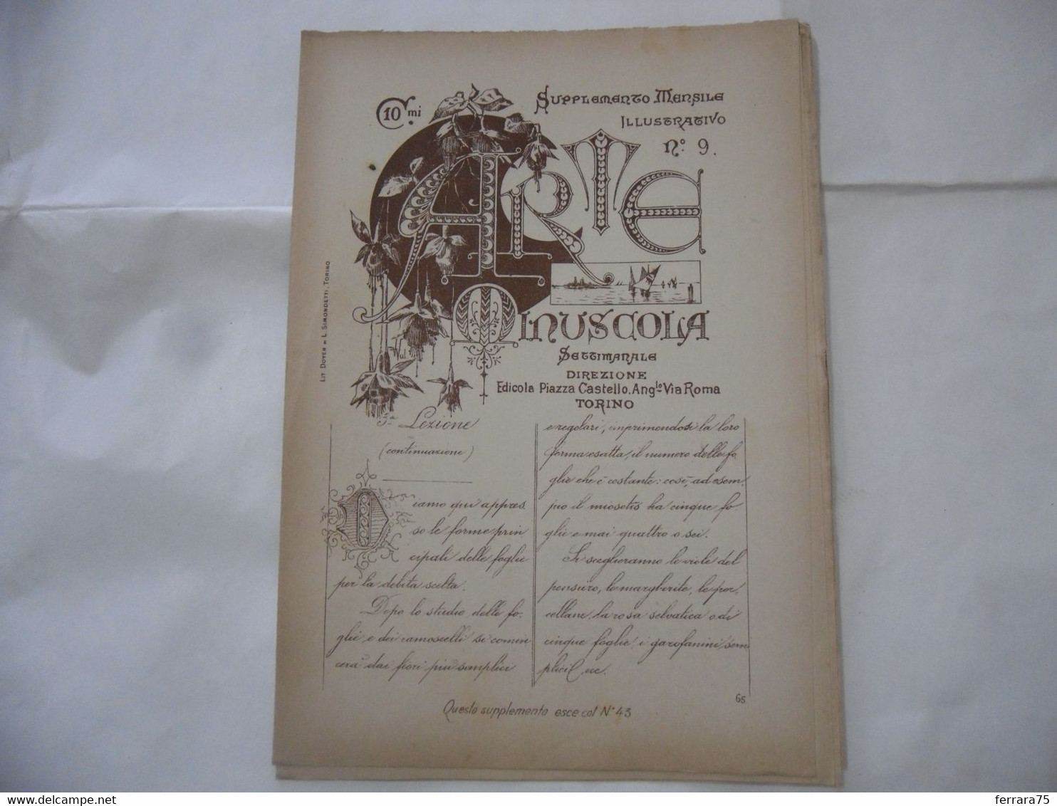 ARTE MINUSCOLA LEZIONE DI DISEGNO ARTE MODA ARALDICA LIBERTY SCRITTURA 1897-60 - Libri Antichi