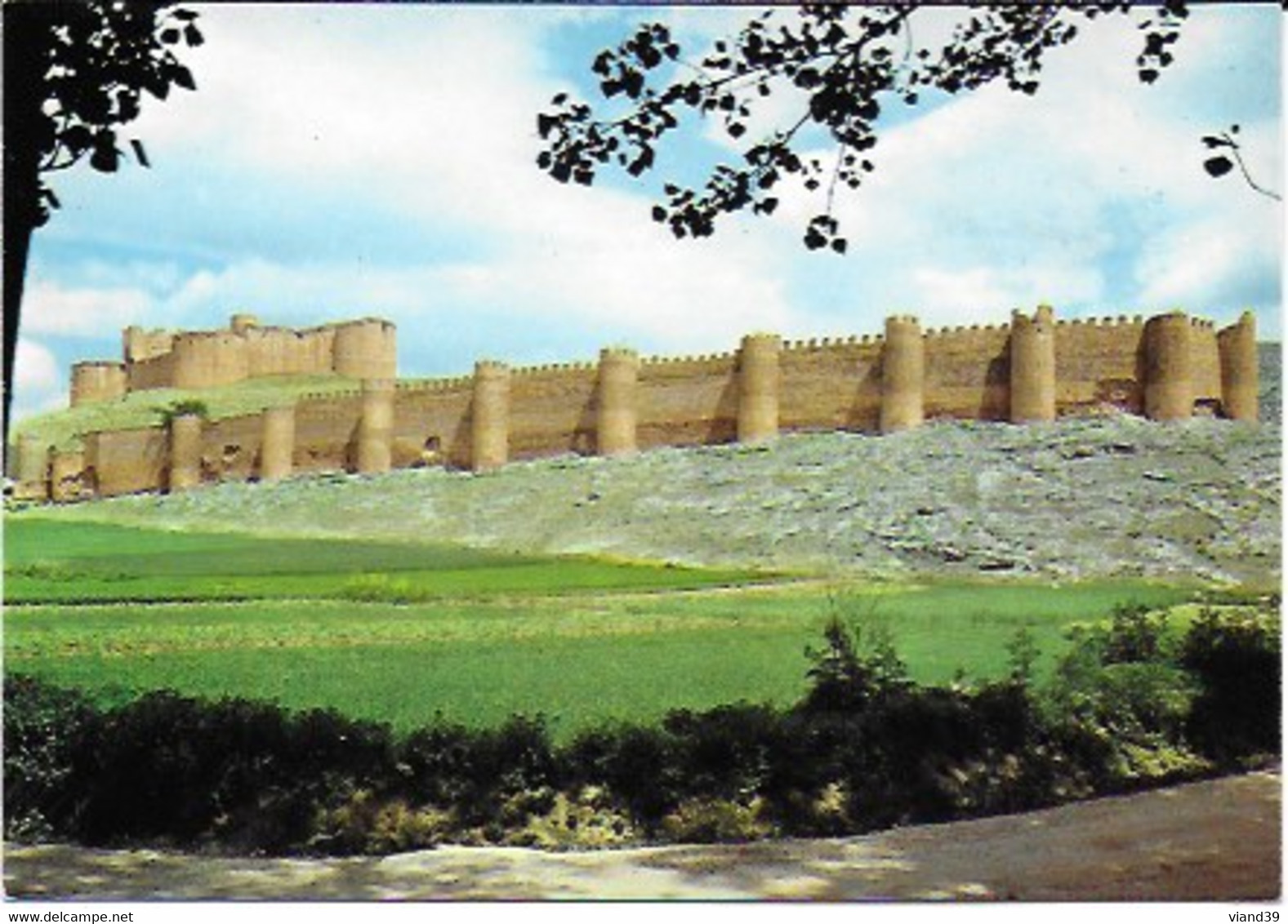 Berlanga De Duero ( Soria) - Murallas Y Castillo - Soria