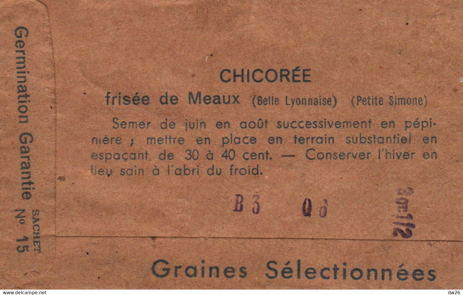 Sachet De Graines - Semis Pour Salade Chicorée (Frisée De Meaux, Belle Lyonnaise, Petite Simone) - Andere & Zonder Classificatie