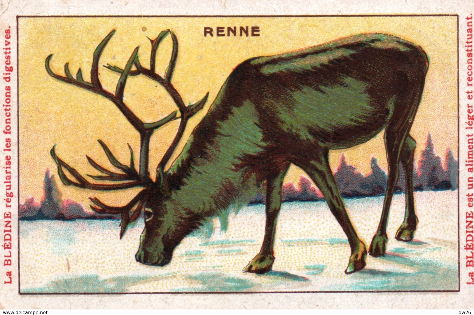 Fiche Animaux Domestiques: Le Renne - Publicité Blédine Jacquemaire, Le Phosphate Vital - Chromolithographie Française - Animali