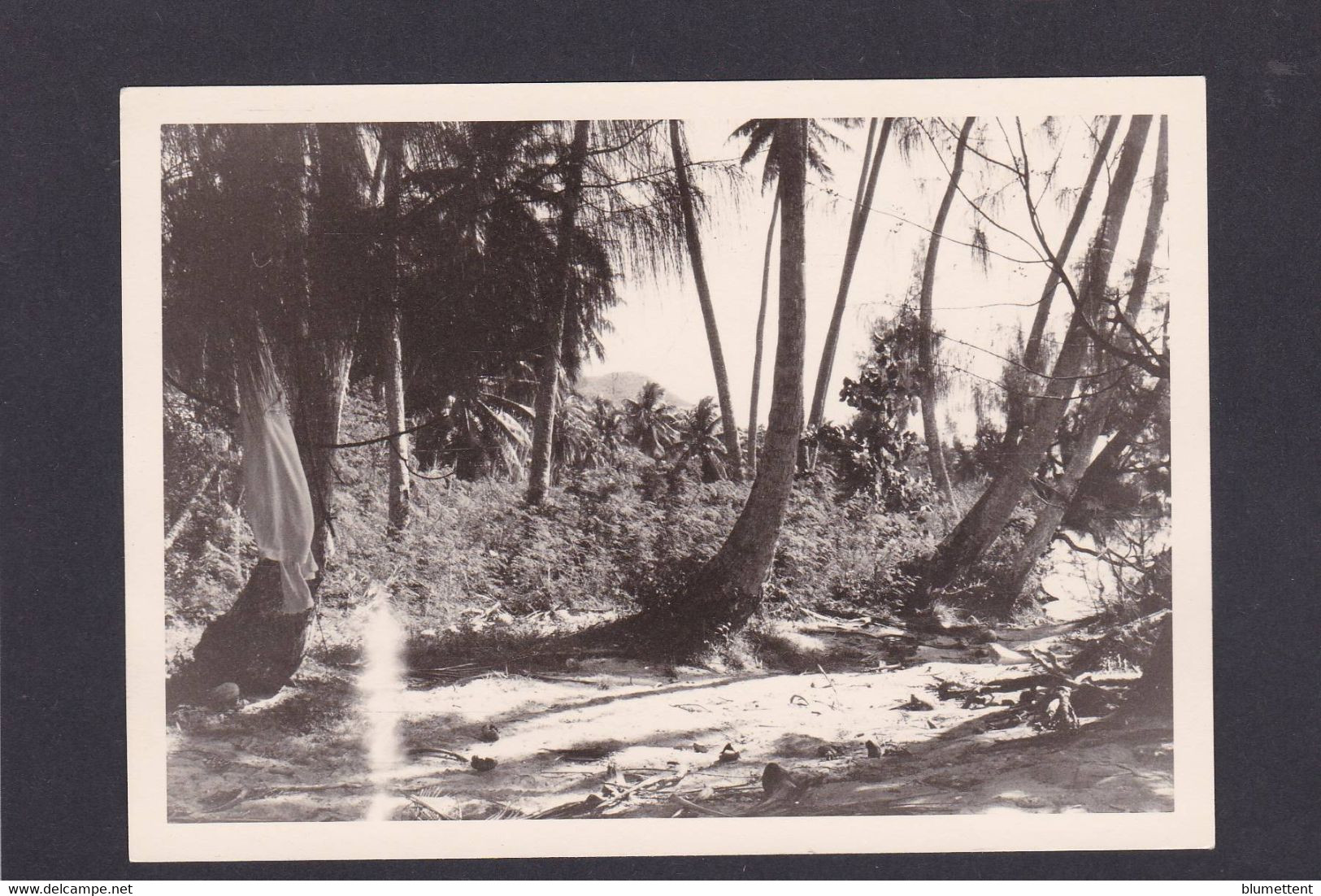 Photo Tahiti Océanie Polynésie Française - Tahiti