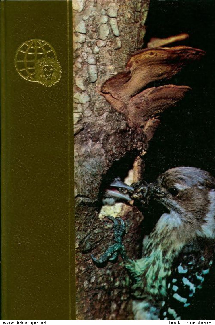 Le Royaume Des Animaux Tome XIX : Phalanger Vulpin-Podarge De Maurice Burton (1969) - Animaux