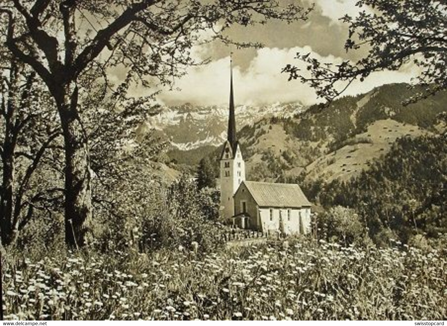 SEEWIS I.P. Kirche Mit Scesaplana - Seewis Im Prättigau