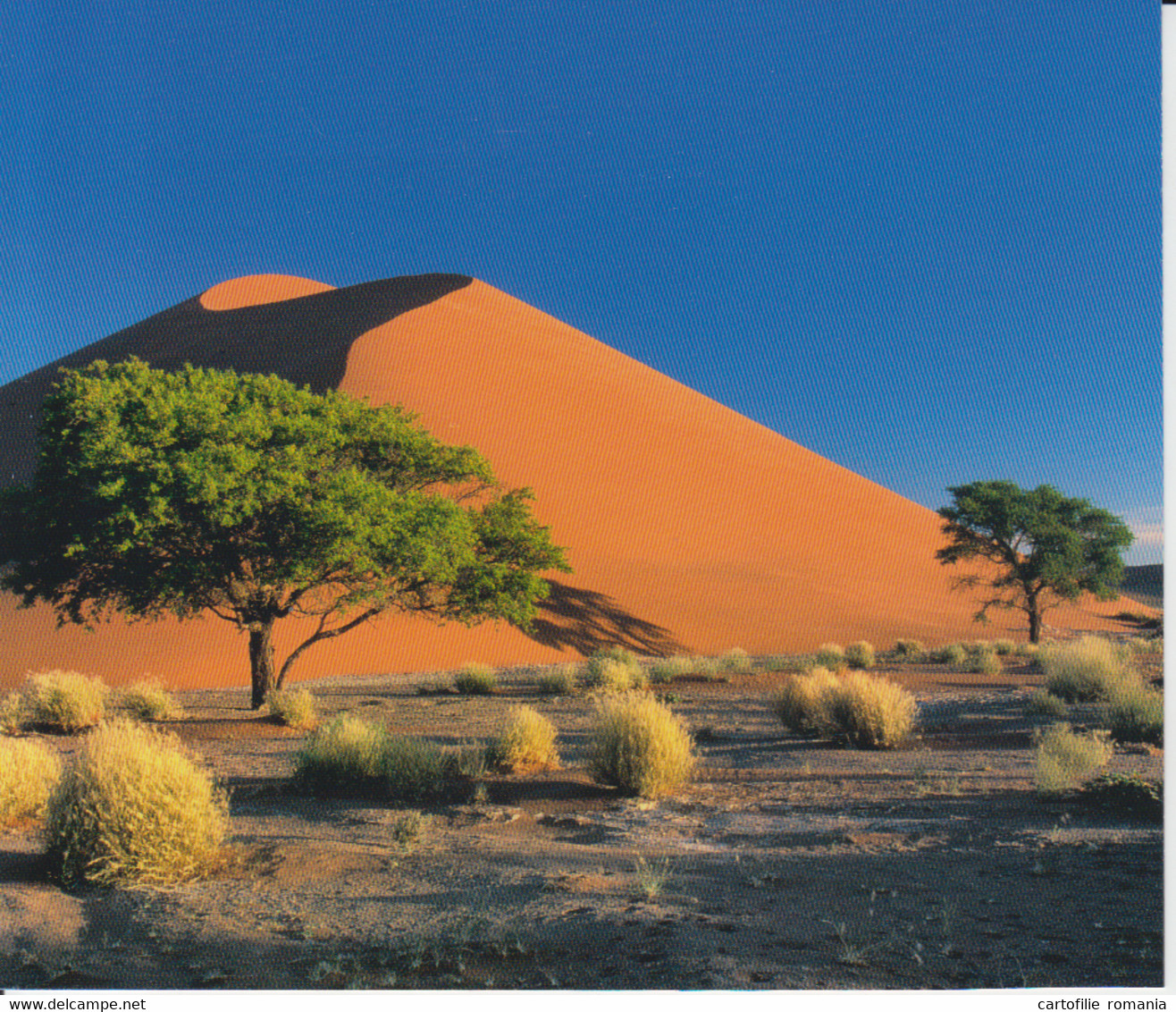 Namibia Sands Dunes Landscape - 160/136 Mm - Namibia